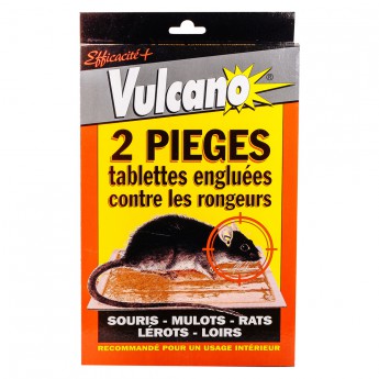 Piège Tapette Rat - Vulcano Produit Anti Rat - Eradicateur