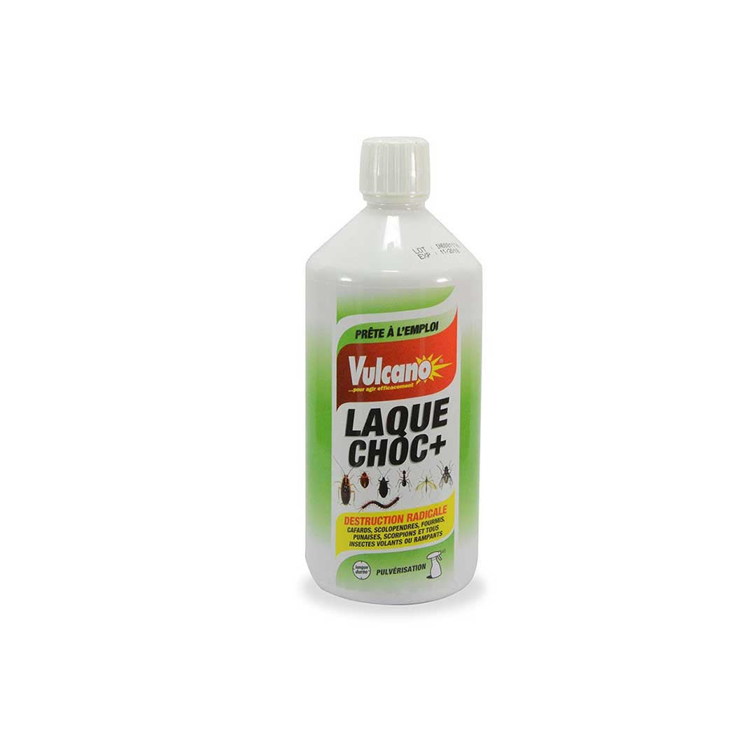 Produit Anti insectes - Digrain Laque Choc 500ml - Eradicateur